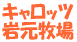 �L�����b�c �⌳�q��