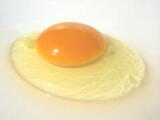 卵黄に「白い濁点」がありますが