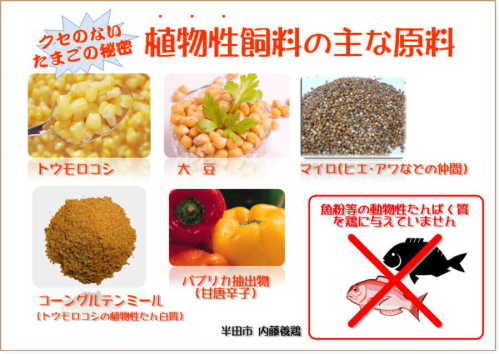 �N�����Ȃ� ���܂��̔閧